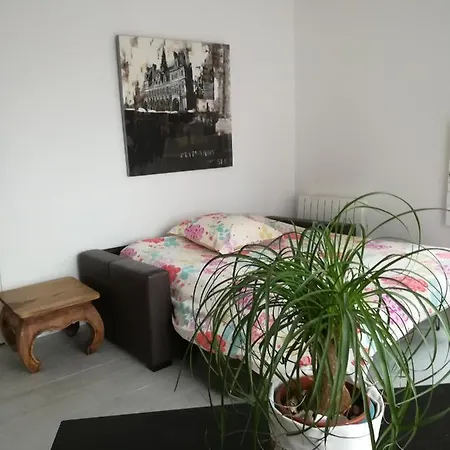 La Brunette Apartment
